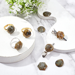 9 шт. 3 вида кабошонов из натурального лабрадорита&nbsp;G-FH0001-27