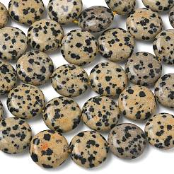 Природные яшмы далматин бисер нитей&nbsp;G-L648-B19-15mm