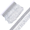 7 Yards Polyester Lace Trim, Tassel Ribbon, Clothes Accessories, Silver, 2-1/2 inch(64mm), 7 yards/set.