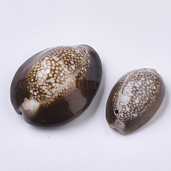 Подвески из натуральной каури&nbsp;X-SSHEL-N034-24