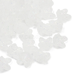 Матовые прозрачные акриловые бусины&nbsp;OACR-P029-18B-05