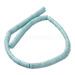 Природные Говлит бисер нитей&nbsp;G-E604-A04-B