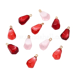 15шт 3 цвета подвески из смолы&nbsp;RESI-CJ0001-129