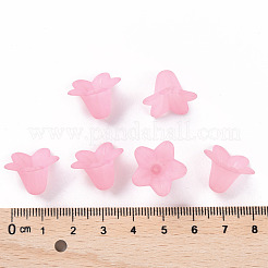 Прозрачные акриловые бусины&nbsp;PLF018-02