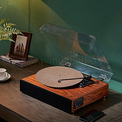 Пробковый проигрыватель пластинок для граммофона&nbsp;AJEW-WH0348-216