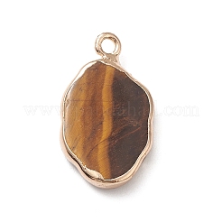 Природных тигровый глаз подвески&nbsp;G-K333-01J