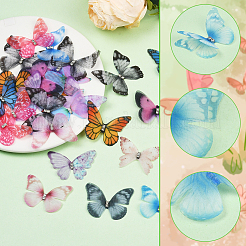60 шт. 12-х цветный полиэстеровый аксессуар для украшения в виде бабочки&nbsp;FIND-SP0004-59