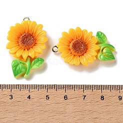 Подвески из непрозрачной смолы&nbsp;LS-RESI-K050-01A