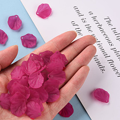 Прозрачные матовые акриловые подвески MACR-S371-01A-706