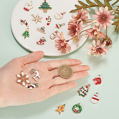 Подвески из сплава &nbsp;ENAM-CJ0001-12