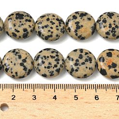 Природные яшмы далматин бисер нитей&nbsp;G-L648-B19-15mm