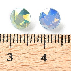 K9 стеклянные каноши&nbsp;EGLA-F161-10A