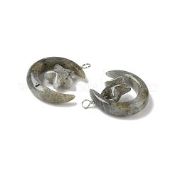Природные подвески лабрадорита&nbsp;G-Z086-01P-14