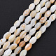 Нити бусин из натуральных пресноводных ракушек&nbsp;SHEL-N027-08B-2
