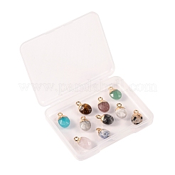 10 шт. 10 стиля подвески из натуральных драгоценных камней&nbsp;G-LS0002-15