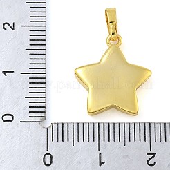 Подвески из латуни с эмалью в стойку&nbsp;KK-G515-01G