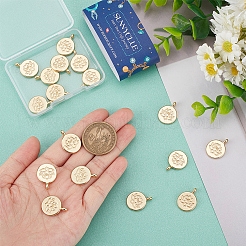 Подвески из сплава &nbsp;FIND-SC0006-14