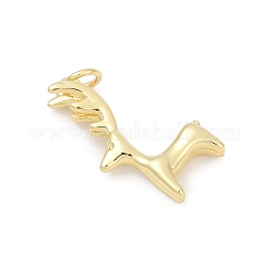 Латунные подвески&nbsp;KK-U062-40G