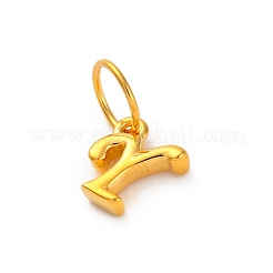 925 подвеска в виде буквы из стерлингового серебра с соединительными кольцами&nbsp;LS-STER-R008-01G-Y