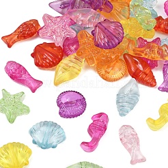 250шт 50г прозрачные акриловые бусины&nbsp;TACR-FP0001-04