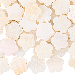 2 нитка бусины из натуральных пресноводных ракушек&nbsp;SHEL-SC0001-92