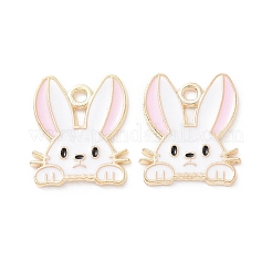 Подвески из эмали и сплава&nbsp;PALLOY-D015-08E