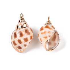 Подвески из натуральной морской раковины&nbsp;SSHEL-N038-50