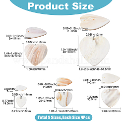 20шт 5 стиля подвески из натуральных пресноводных ракушек&nbsp;SHEL-SC0001-95