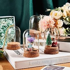 Купол из высокопрочного боросиликатного стекла&nbsp;DJEW-NB0001-22