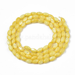 Нити бусин из натуральных пресноводных ракушек&nbsp;SHEL-N003-25-B05