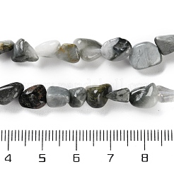 Натуральный орлиный глаз бусы&nbsp;X-G-P497-01C-52