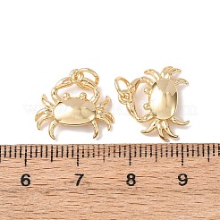 Латунные подвески&nbsp;KK-C143-46G-G