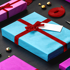 10 ярд односторонней бархатной ленты&nbsp;SRIB-LP0001-02T