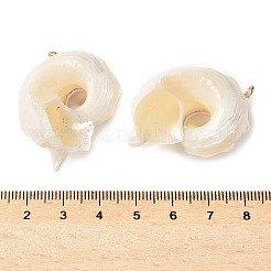 Подвески из натуральной морской раковины&nbsp;SSHEL-C013-03
