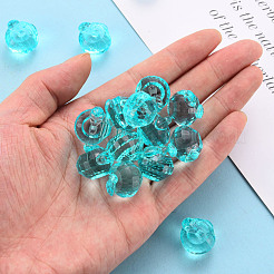 Прозрачные акриловые подвески&nbsp;TACR-T024-05B-946