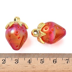 Прозрачные акриловые подвески&nbsp;LS-OACR-I021-02A