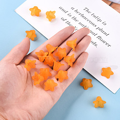 Прозрачные акриловые бусины&nbsp;PLF018-08