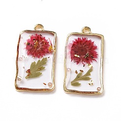 Подвески из прозрачной эпоксидной смолы&nbsp;RESI-L036-04G-01