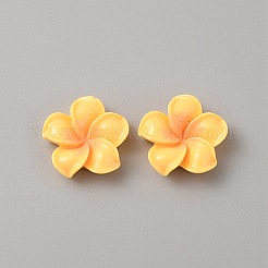 Непрозрачные кабошоны из смолы&nbsp;RESI-WH0036-10B