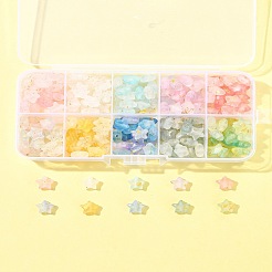 300 шт. 10-х цветные матовые акриловые подвески&nbsp;OACR-FS0004-09