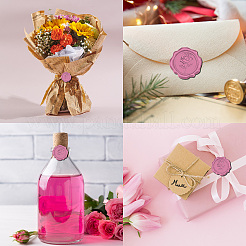 Клейкая сургучная печать наклейки DIY-CP0010-69D