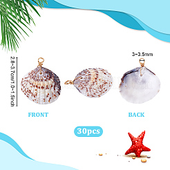 30 шт. Подвески из натуральных ракушек&nbsp;PALLOY-PH01839