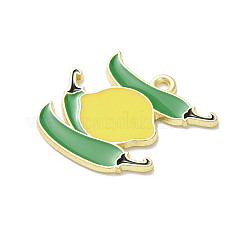 Подвески из эмали и сплава&nbsp;FIND-G106-02G-01