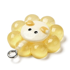 Подвески из полупрозрачной смолы&nbsp;RESI-L038-02P-03