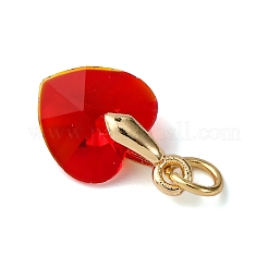 10шт 10 цвета стеклянные подвески&nbsp;PALLOY-JF04432