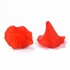 Прозрачные акриловые бусины&nbsp;BSF796M