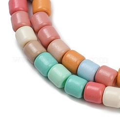 Выпечка окрашенные стеклянные бусины пряди&nbsp;LAMP-S070-06C