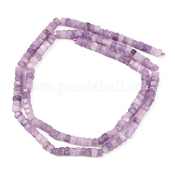 Натуральный лепидолит / пурпурный слюдяный камень бисер пряди&nbsp;G-G345-C18-2x4mm