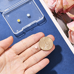 3 шт. 3 цвета s925 серебряные бусины&nbsp;STER-BBC0008-48