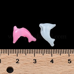 Пластиковые европейские бусины&nbsp;KY-F023-14